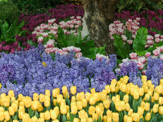 427060 (a): :1600x1200